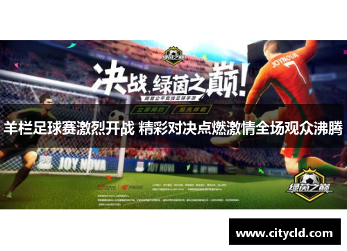 羊栏足球赛激烈开战 精彩对决点燃激情全场观众沸腾